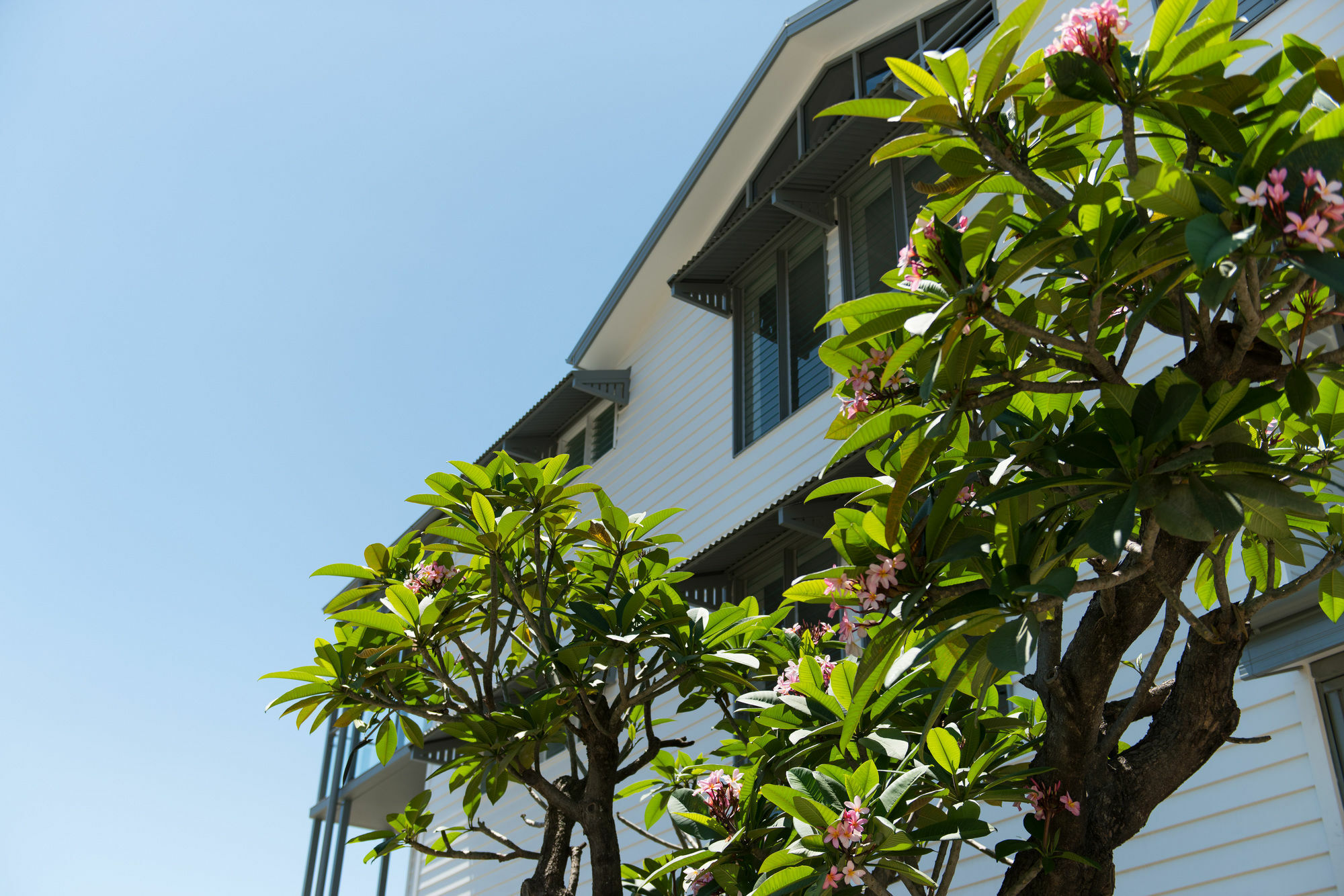 Heart Hotel And Gallery Whitsundays Airlie Beach Exterior foto